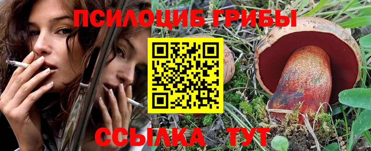 Псилоцибиновые грибы MAGIC MUSHROOMS Елабуга