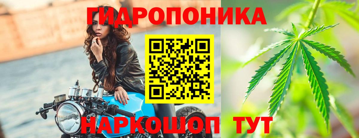 Каннабис OG Kush Елабуга